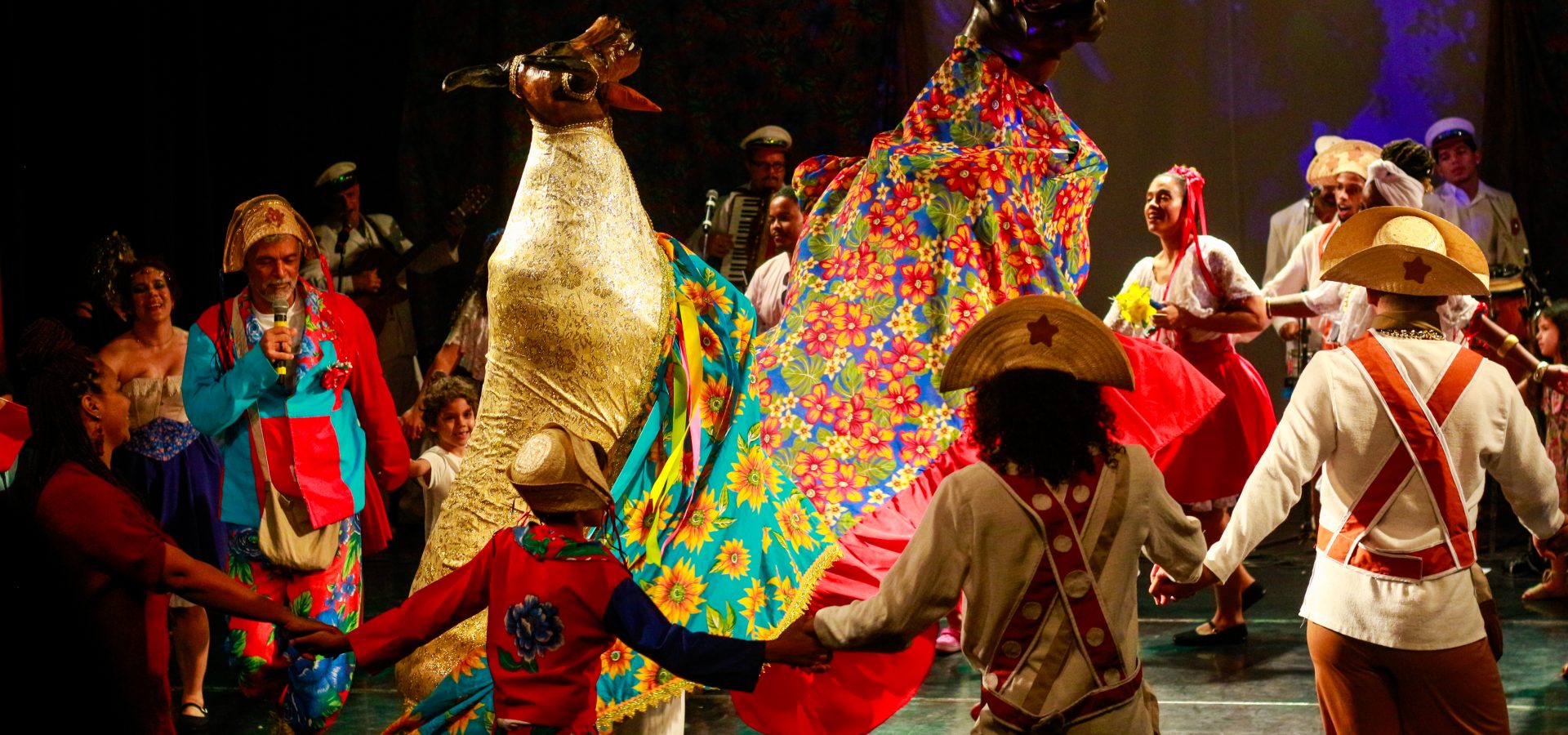 Viva a Cultura Popular Brasileira